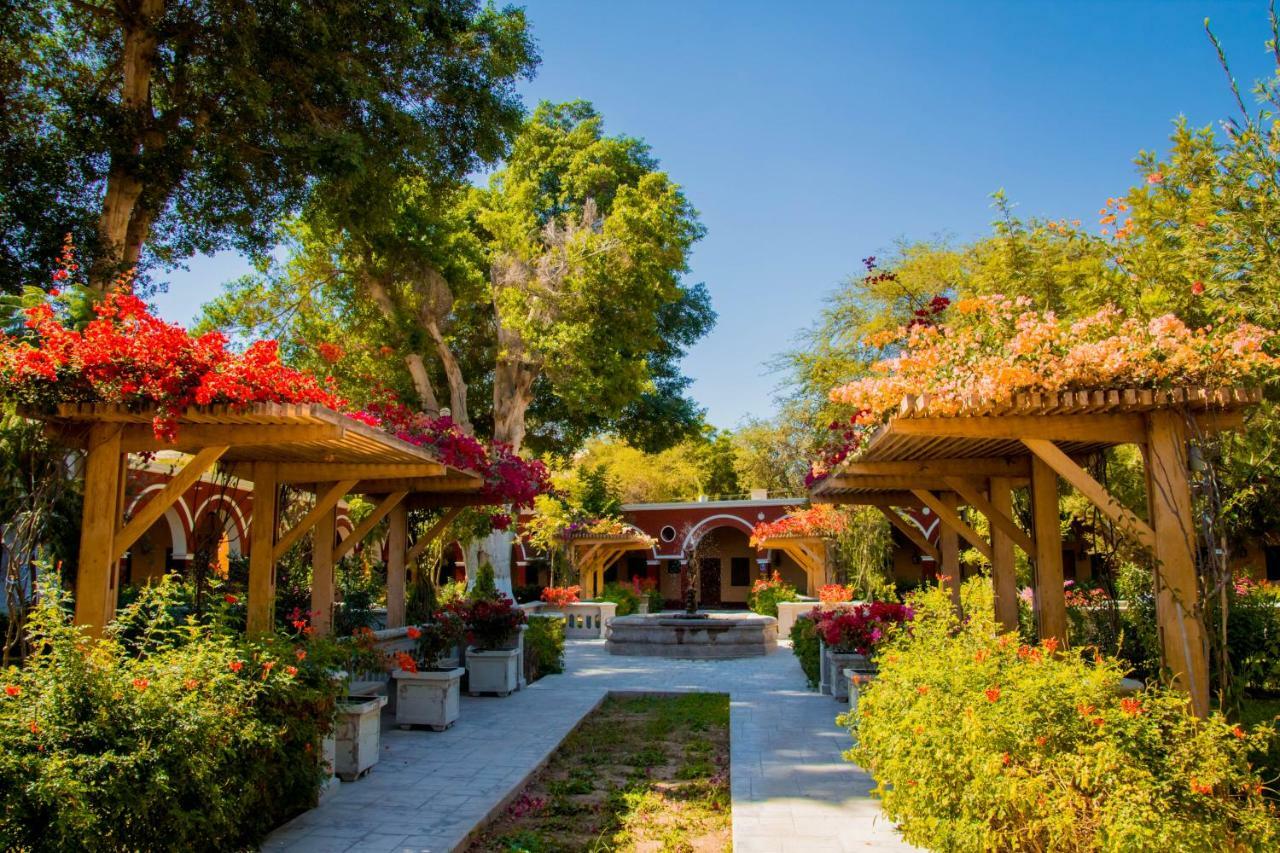 Dm Hoteles Mossone - Ίκα Εξωτερικό φωτογραφία